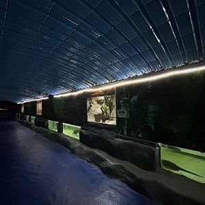 Aquarium Hallway