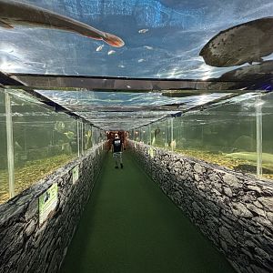 Overhead River Tanks