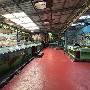 Aquarium Hallway