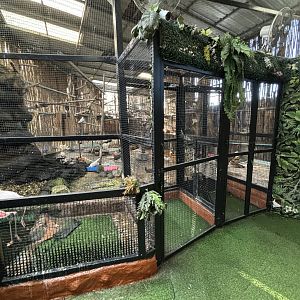 Walk-through Aviary