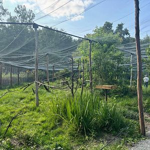 New South-American walkthrough aviary