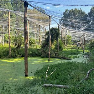 New South-American walkthrough aviary