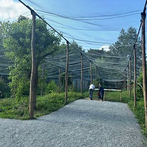 New South-American walkthrough aviary