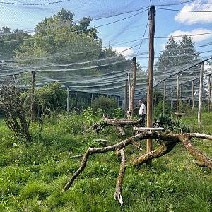 New South-American walkthrough aviary