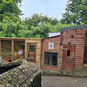 Sand Cat Complex, Exmoor Zoo