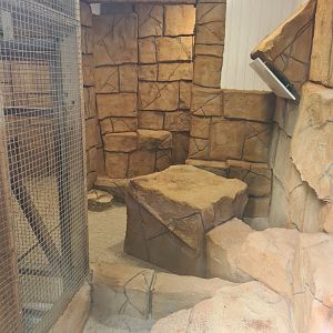 Sand Cat Enclosure Extension, Exmoor Zoo