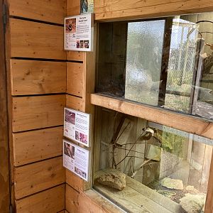 Hamerton reptile house signage, August 2024