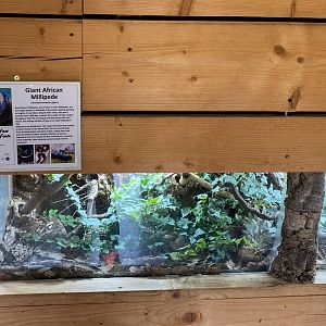 Hamerton reptile house signage, August 2024