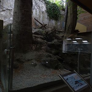 Polecat/ferret enclosure