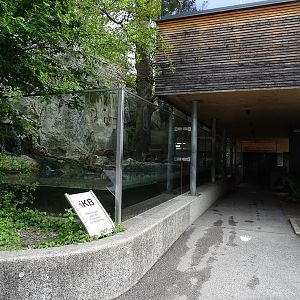 First otter enclosure and hallway towards vivarium