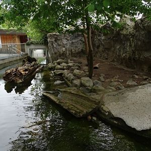 Second otter enclosure