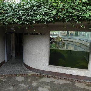 Second otter enclosure