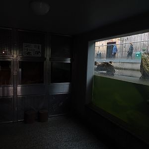 Second otter enclosure