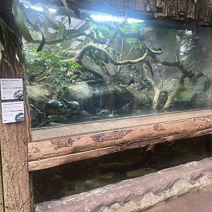 Reptile Tropics - Mixed Exhibit 130624