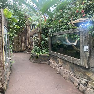 Reptile Tropics 130624