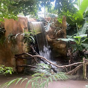 Reptile Tropics 130624