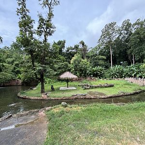 Common Hippo Exhibit - stunning!