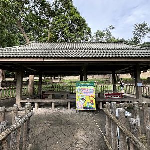 African Savanna - overlook