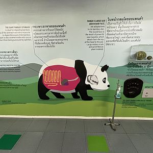 Giant Panda Exhibit - sign