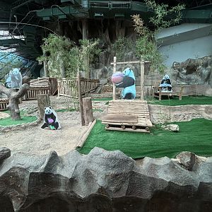 Giant Panda Exhibit - empty