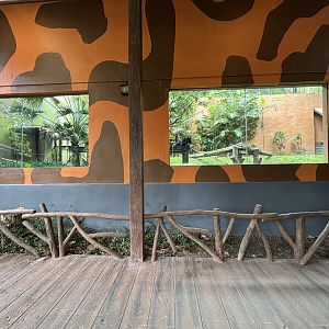Leopard Exhibit