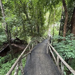 Jungle Trail + Abandoned Exhibit