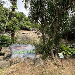 Barbary Sheep Exhibit