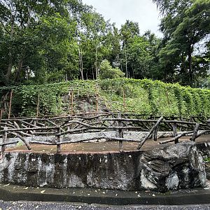 Mainland Serow Exhibit