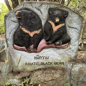 Asiatic Black Bear Exhibit Sign