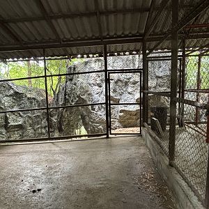 Barbary Sheep Exhibit - indoor quarters