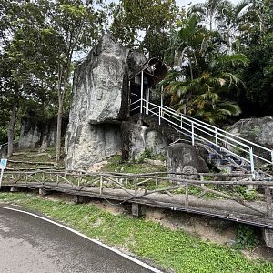 Cape Fur Seal - closed exhibit