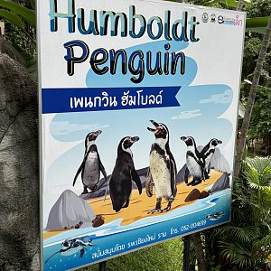 Penguin Sign