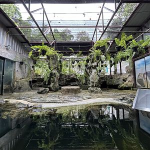 Humboldt Penguin Exhibit