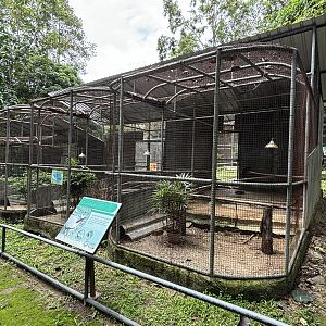 Pheasant Aviaries