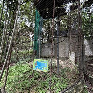 Rhinoceros Hornbill Aviary