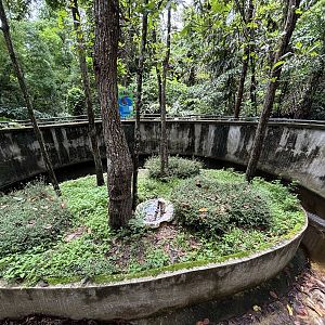 False Gharial Exhibit