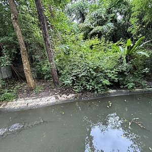Siamese Crocodile Exhibit
