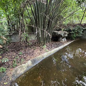 False Gharial Exhibit
