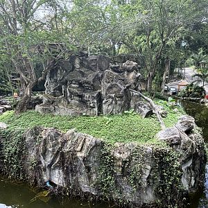 Pileated Gibbon Exhibit