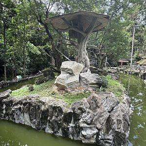 Pileated Gibbon Exhibit