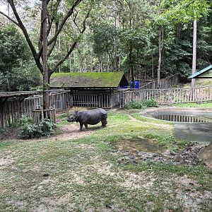 Indian Rhino Exhibit