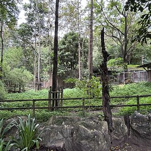 Nilgai Exhibit