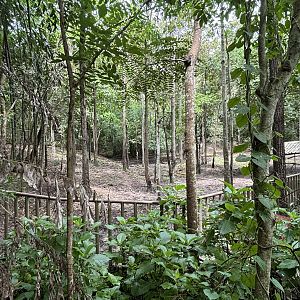 Banteng Exhibit (semi off-show)