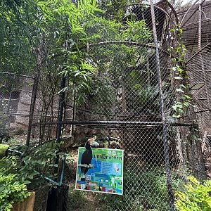 Rhinoceros Hornbill Aviary