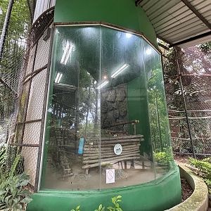 Red Panda Indoor Exhibit
