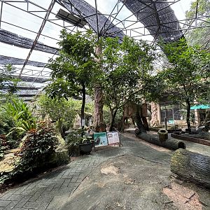 Walk-through Aviary