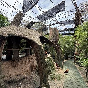Walk-through Aviary