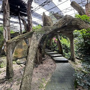 Walk-through Aviary