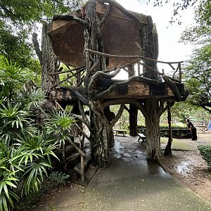 Asian Hoofstock Exhibit - overlook