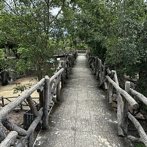 Asian Hoofstock Exhibit - walkway